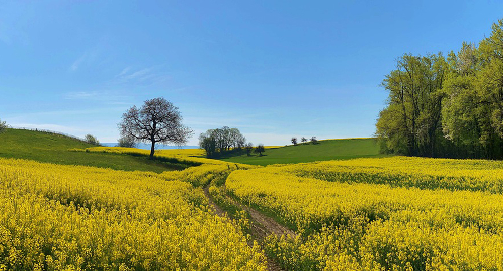 Latar belakang layar anjungan
